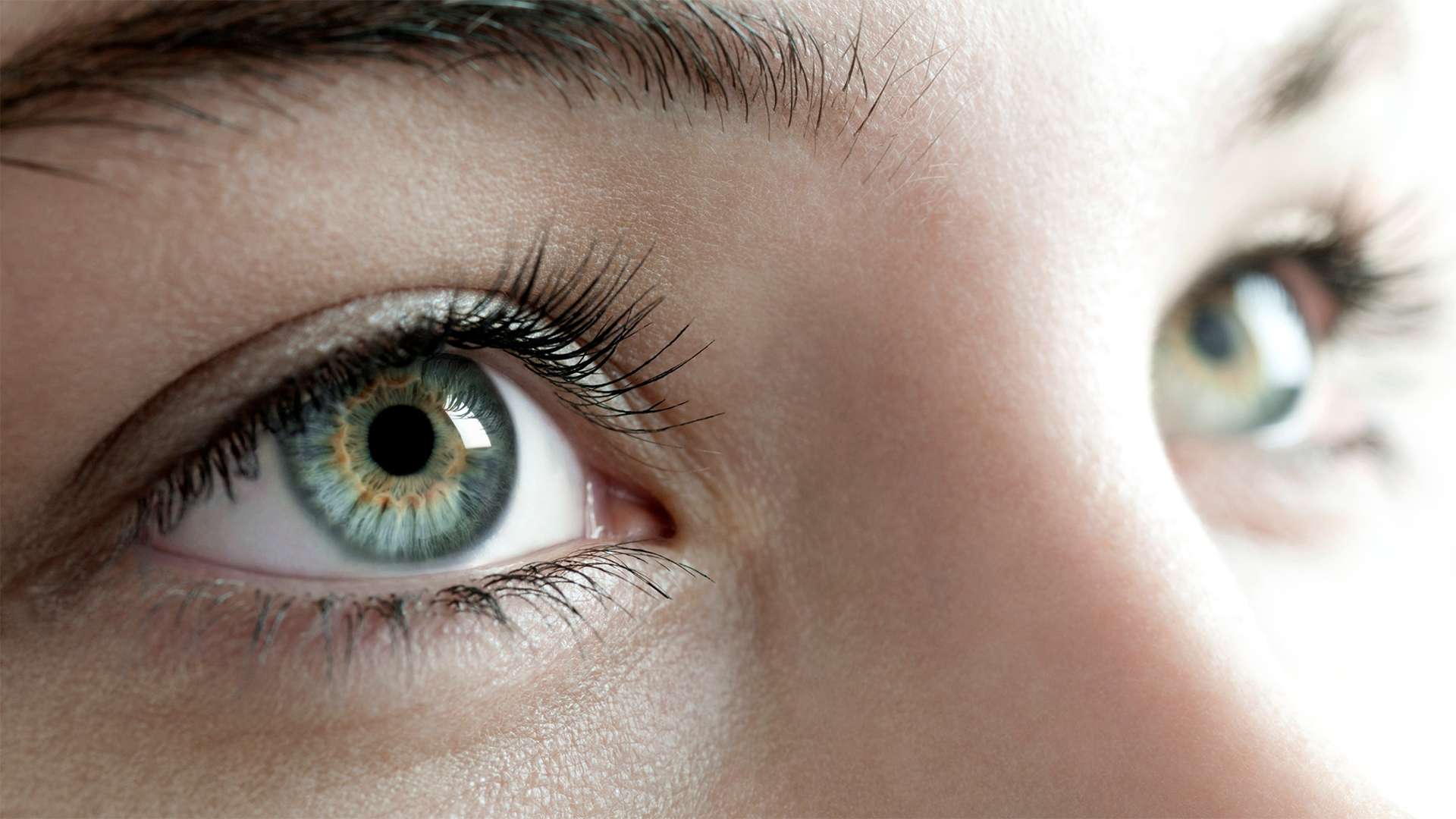 the role of genetics in eye diseases and conditions
